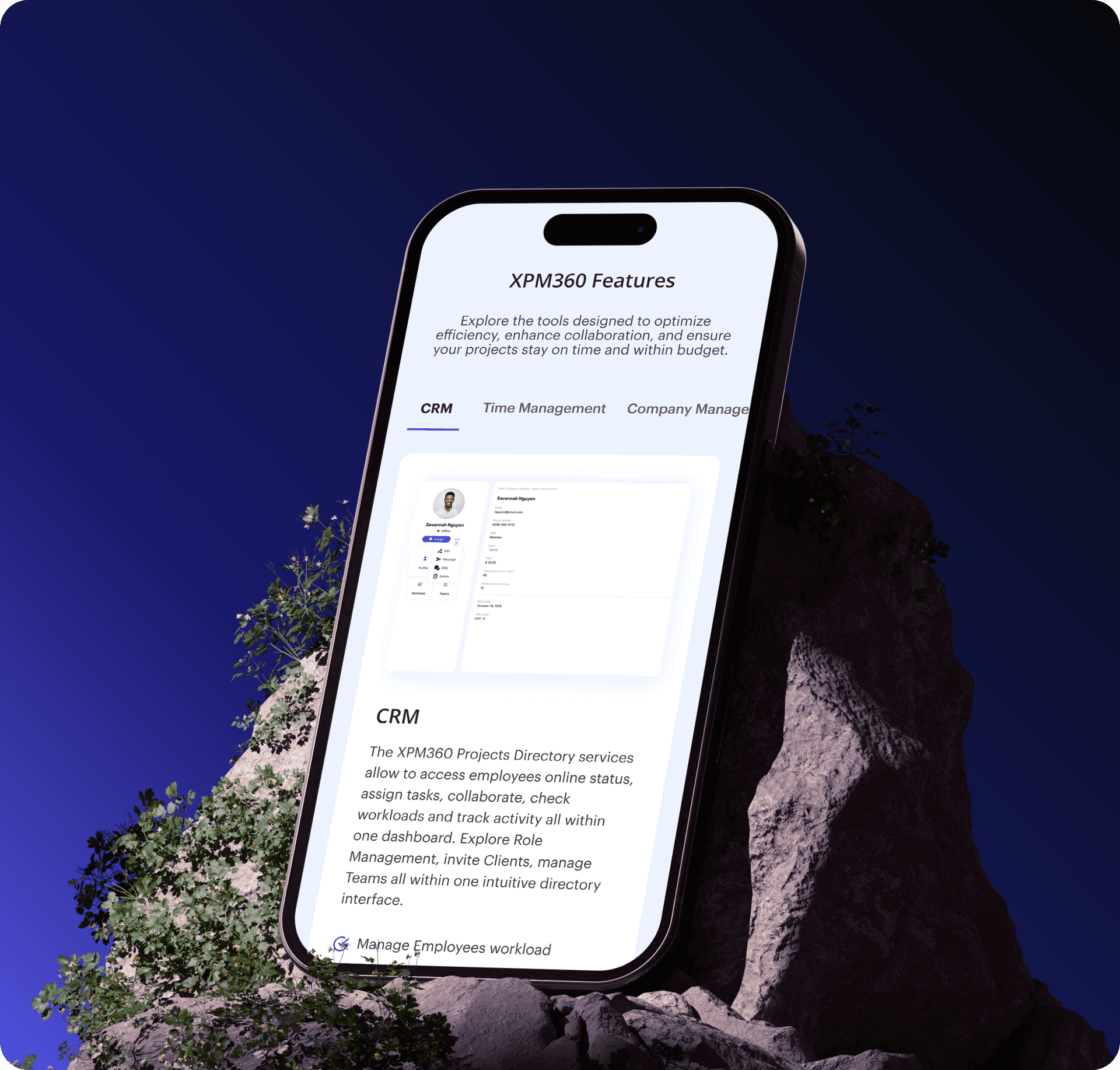 MySpend subscription details interface