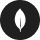MongoDB