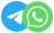 Contact Icon