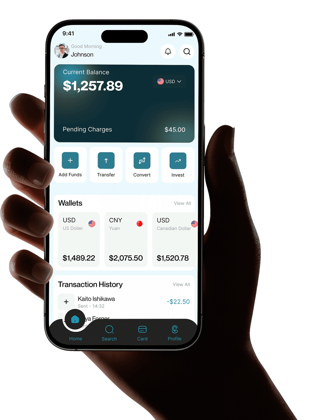 Mobile app interface design preview showing a financial web product application